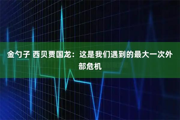 金勺子 西贝贾国龙：这是我们遇到的最大一次外部危机