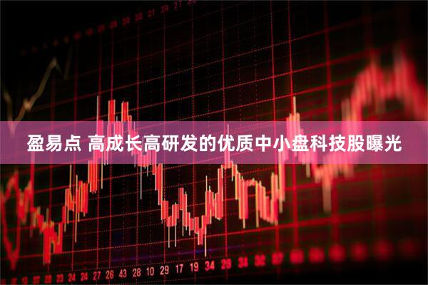 盈易点 高成长高研发的优质中小盘科技股曝光