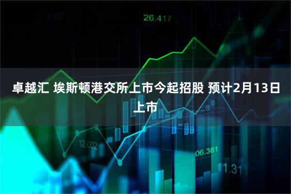 卓越汇 埃斯顿港交所上市今起招股 预计2月13日上市